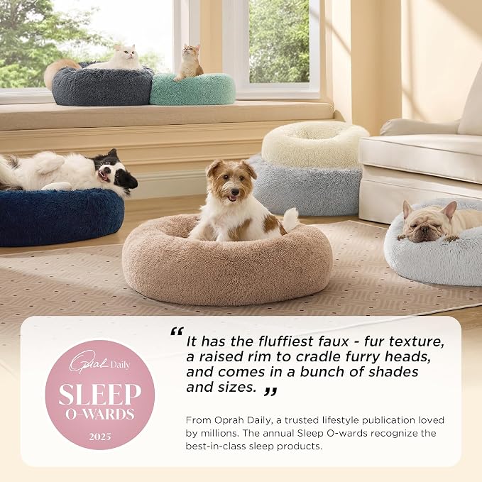 Bedsure Calming Dog Bed for Medium Dogs - Image 2