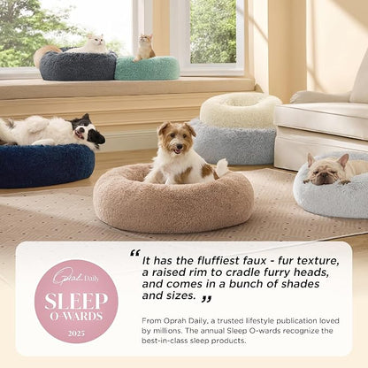 Bedsure Calming Dog Bed for Medium Dogs - Image 2
