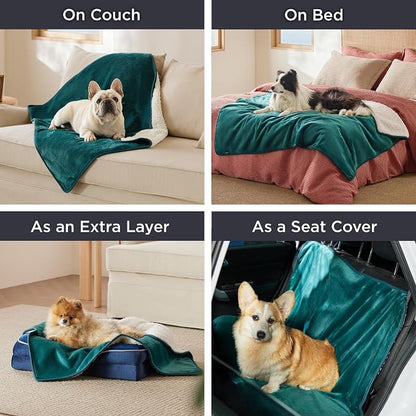 Bedsure Cat Blanket for Indoor Cats - Image 5