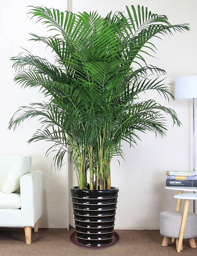 4 Pack of 16 inch Plant Saucer, Heavy Duty Round Plant Trays - Image 5