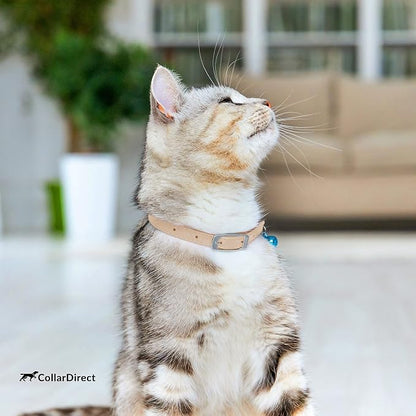 CollarDirect Leather Cat Collar, Kitten Collar - Image 7