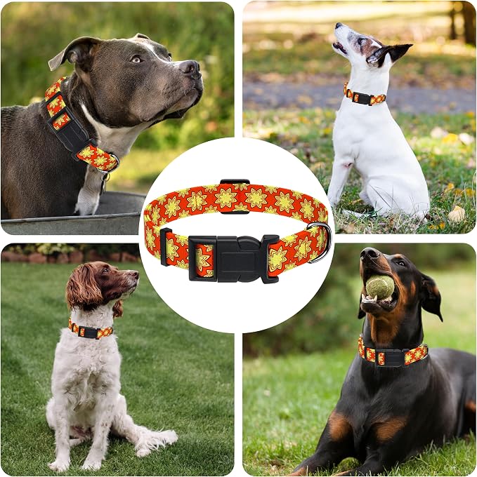 Dog Collar, Classical Indian Spirit Boys Girls Puppy Collar - Image 6