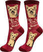 E&S Pets Pet Lover Socks by ESPETS