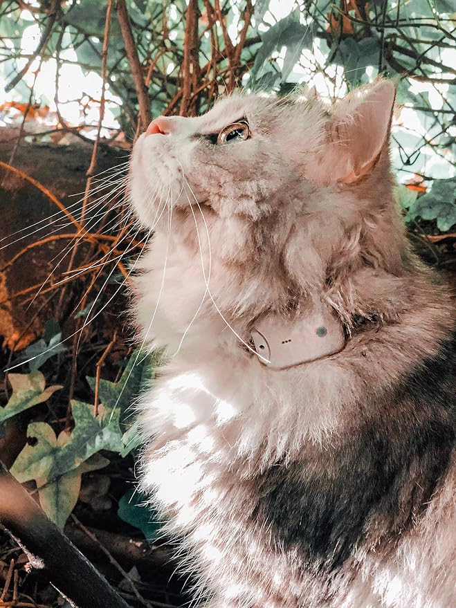 Cat Tracker RF Finder Longest Range up to 1600 ft lightest pet Safety Tracking by Girafus