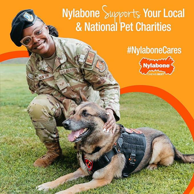 Nylabone Baguette Power Chew Toy - Image 12