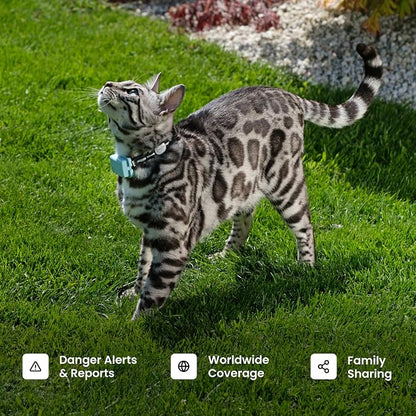 Tractive XL Smart Dog GPS Tracker | Live Pet Tracker - Image 8