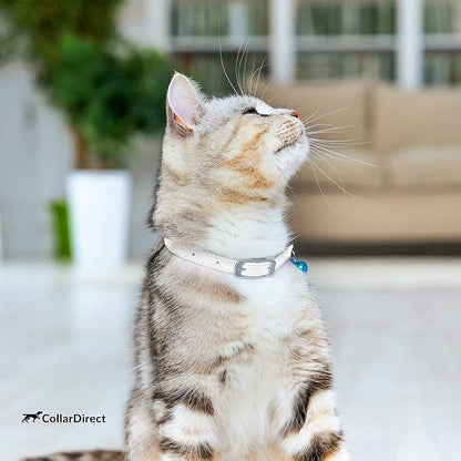 CollarDirect Leather Cat Collar, Kitten Collar - Image 7