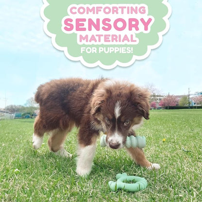 Nylabone Sensory Material Soothing Puppy Chew Toy Bundle, Toys - Image 2
