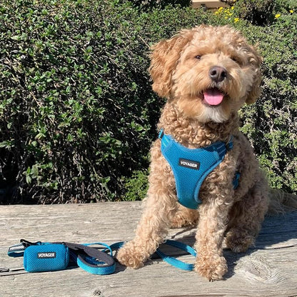 Best Pet Supplies Voyager Reflective Dog Leash or Collar - Image 4