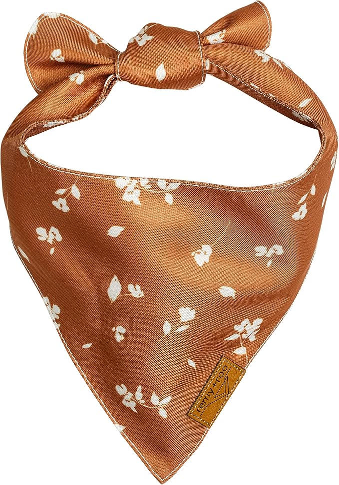 Remy+Roo Extra Large Spring Dog Bandanas - Image 4
