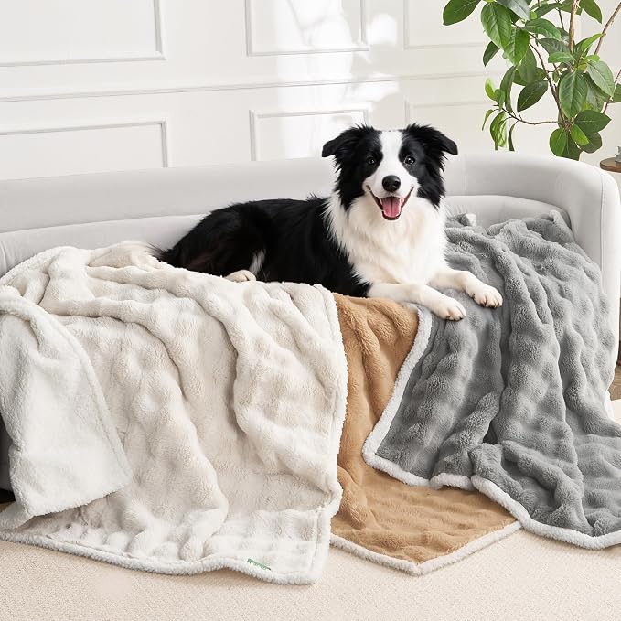 Soft Cozy Waterproof Twin Blanket - Image 2