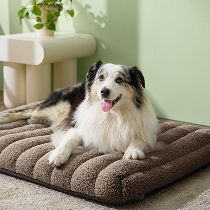 LE SURE Cute Orthopedic Dog Bed Large Sized Dog, Waterproof Chic Flat Pet Beds - Image 2