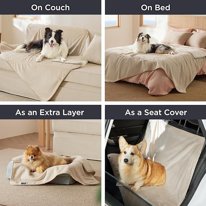 Bedsure Cat Blanket for Indoor Cats - Image 5