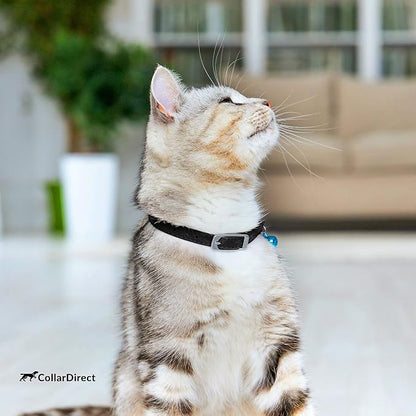 CollarDirect Leather Cat Collar, Cat Safety Collar - Image 7