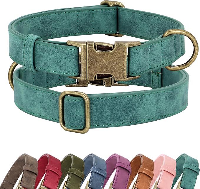Didog Soft PU Leather Dog Collar, Stylish Quick Released Dog Collar by Didog