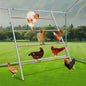 Chicken Perch, Chicken Coop Roosting Perch by Airynee