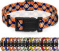 Dog Collar, Classical Indian Spirit Boys Girls Puppy Collar by Seyezo