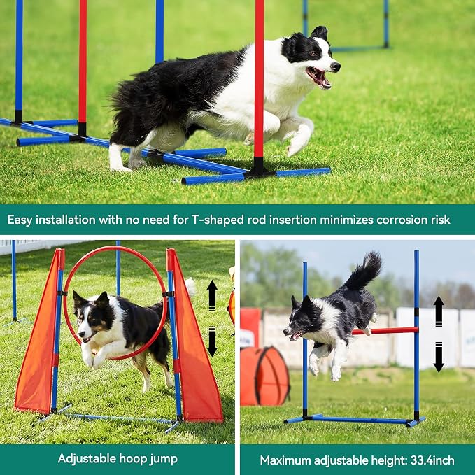 DWVO Dog Agility Accessories Kit: Comprises of a Teaser Pole, 2 Hurdles - Image 5