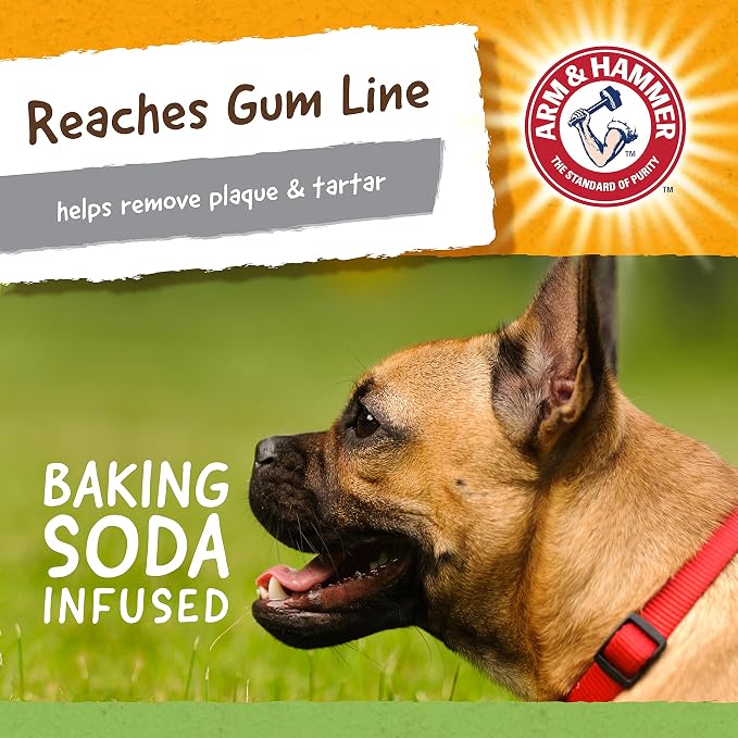 Arm & Hammer for Pets Nubbies Dental Toys T-Rex Dental Chew Toy for Dogs Best - Image 7