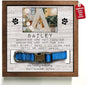 Customized Dog Picture Frames Pet Memorial Gifts Loss Dog Cat Grieving Picture by Bfigift
