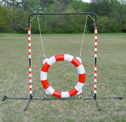 Agility Tire Jump - Image 6