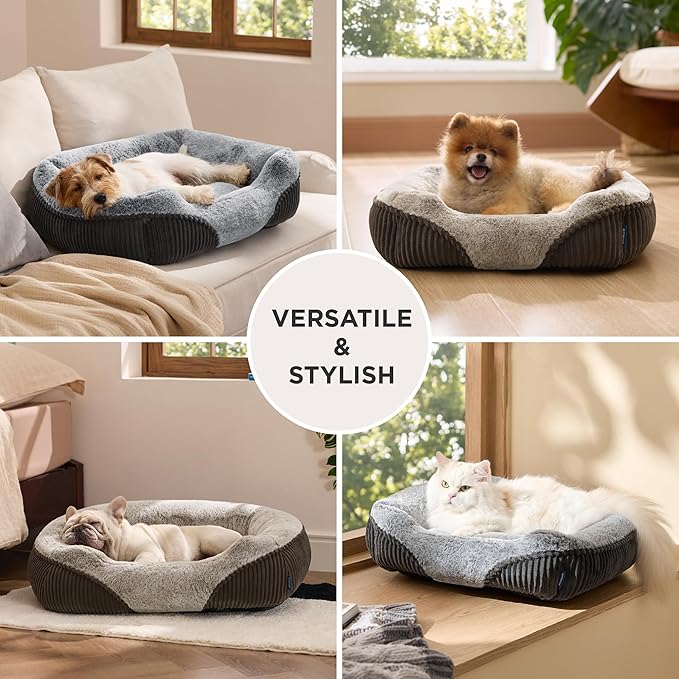 Bedsure Washable Dog Bed Small Dog＆Cat- Rectangle Fluffy Plush Kitten Puppy Bed - Image 7