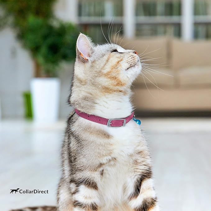 CollarDirect Leather Cat Collar - Image 7