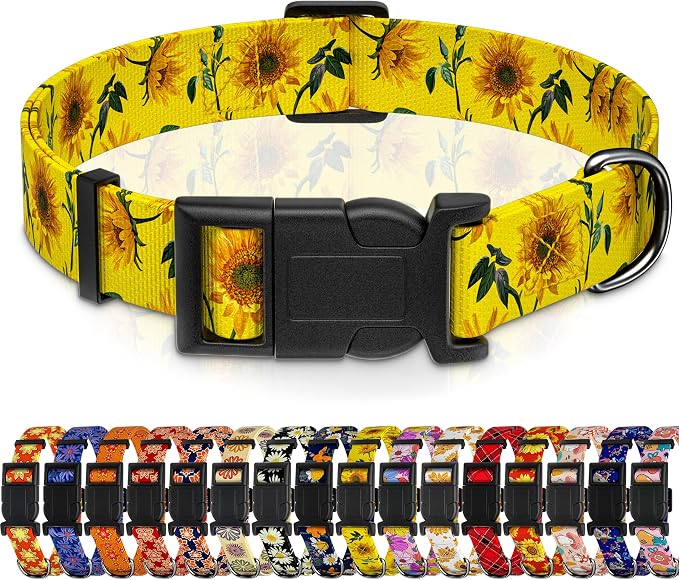 Dog Collar, Floral Boys Girls Puppy Collar by Seyezo