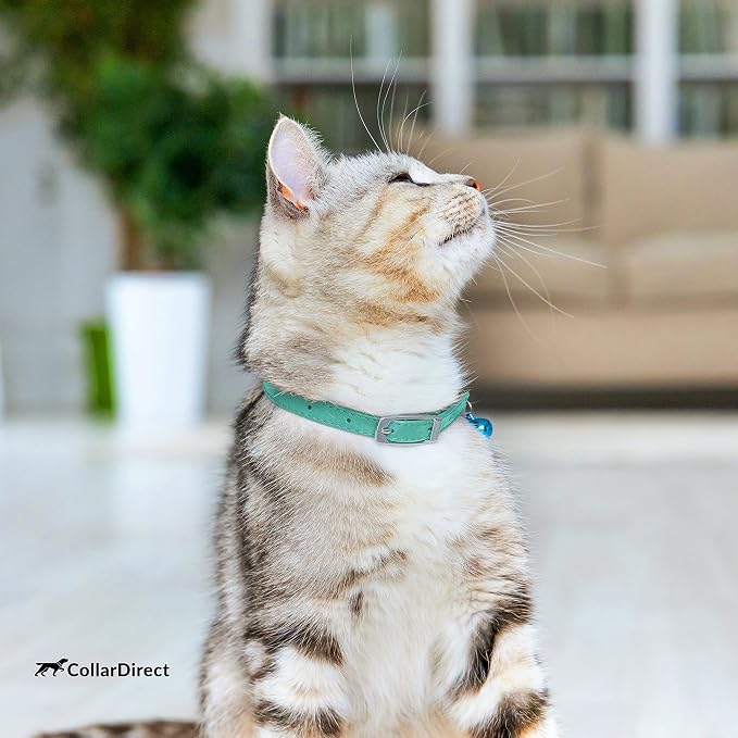 CollarDirect Leather Cat Collar - Image 7