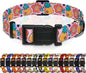 Dog Collar, Cute Cartoon Fruit Boys Girls Puppy Collar by Seyezo