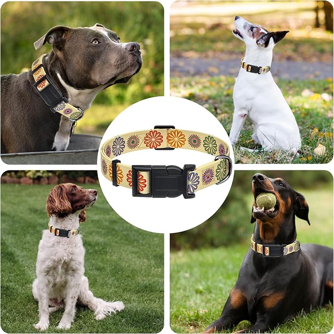 Dog Collar, Classical Indian Spirit Boys Girls Puppy Collar - Image 6