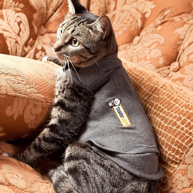 ThunderShirt For Cats - Image 5