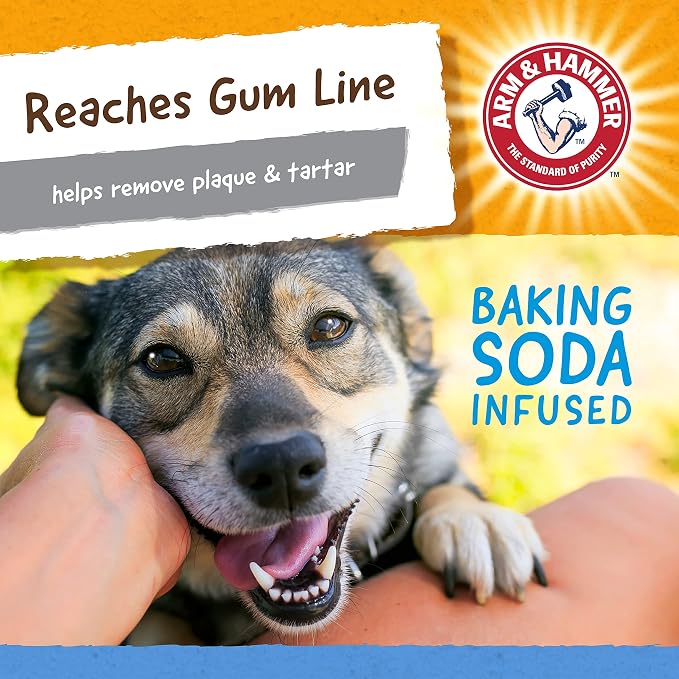 ARM & HAMMER for Pets Nubbies TriBone Dog Dental Toy Best Dog Chew Toy for - Image 5