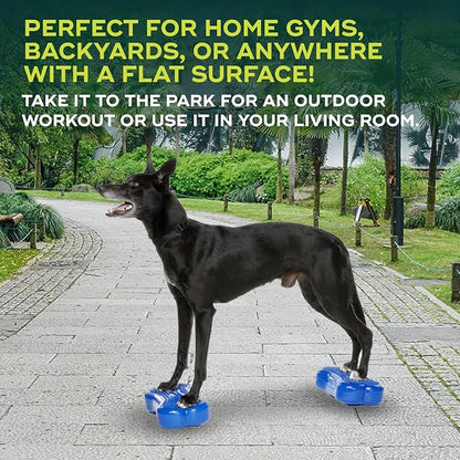 FitPAWS® K9FITbone® - Image 4