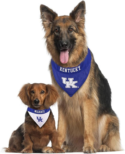 Pets First Collegiate Pet Accessories, Reversible Bandana, Kentucky Wildcats - Image 5