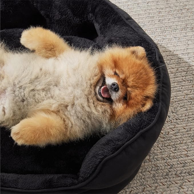Bedsure Dog Beds for Small Dogs - Image 8