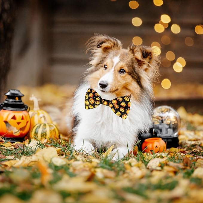 Halloween Dog Bow Tie Collar, Holiday Skull Pumpkin Collar - Image 6
