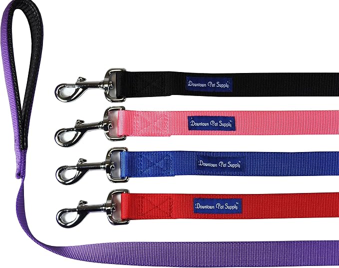 Downtown Pet Supply 6ft Heavy-Duty Dog Leash - Image 2