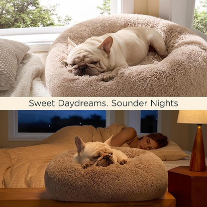 Bedsure Calming Dog Bed for Small Dogs - Image 5