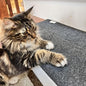 Shaidy Cat Scratching Mat 24x15 Inches by Unknown