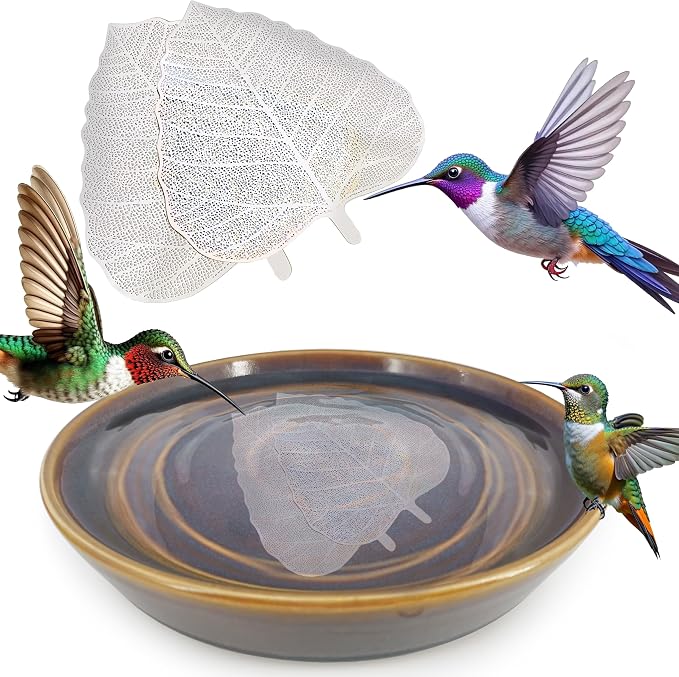 RONDURE 2 pcs Bird Bath Purification Disk 4 Inch Bird Bath Water Cleaner Disk by RONDUREGravtBoatSeries
