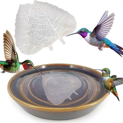 RONDURE 2 pcs Bird Bath Purification Disk 4 Inch Bird Bath Water Cleaner Disk by RONDUREGravtBoatSeries