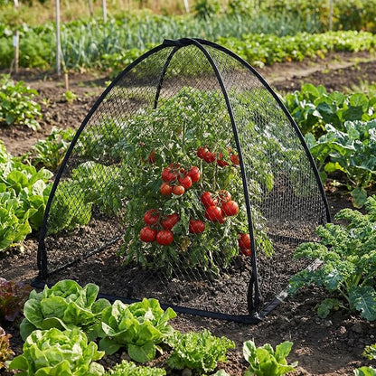 DECOHS 2 Pcs Pop-Up Mesh Plant Cover Tent, Plant Protector Enclosure - Image 6