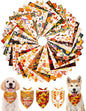 PET SHOW 50 Pack Fall Dog Bandanas Bulk Washable Thanksgiving Autumn Maple by PETSHOW