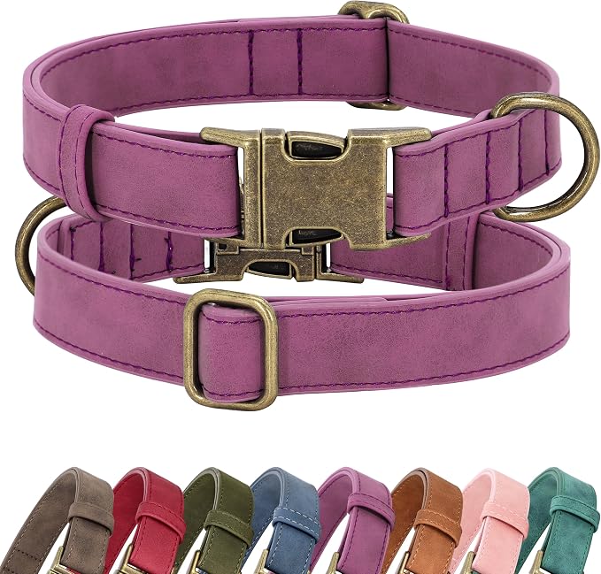 Didog Soft PU Leather Dog Collar, Stylish Quick Released Dog Collar by Didog