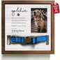 Customized Dog Collar Frame Memorial Pet Loss Sign by Bfigift