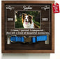 Customized Dog Picture Frames for Dogs That Passed Personalized Gifts for Pets by Bfigift