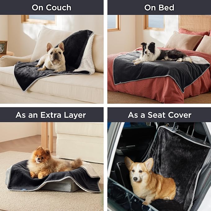 Bedsure Cat Blanket for Indoor Cats - Image 5