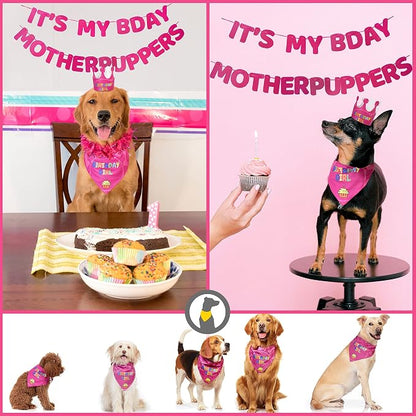 Dog Birthday Party Supplies - Image 3