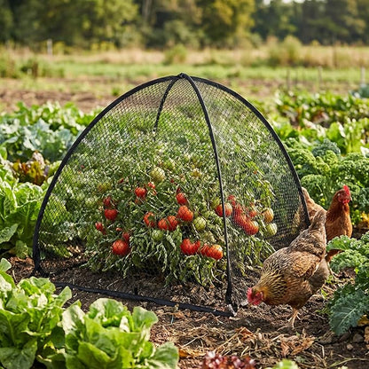 DECOHS 2 Pcs Pop-Up Mesh Plant Cover Tent, Plant Protector Enclosure - Image 5